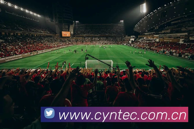 爱游戏app中国官网平台生态图